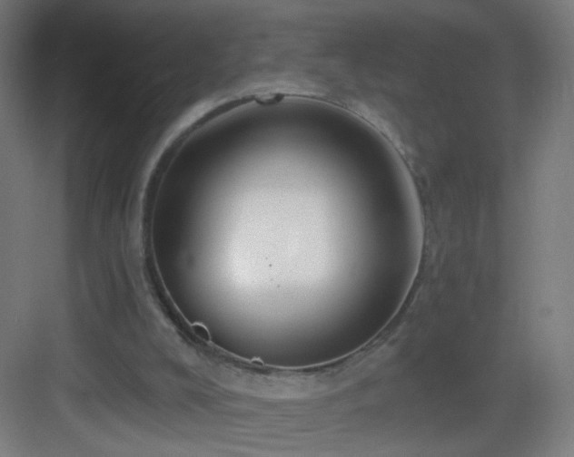 X0000083050008200702091450