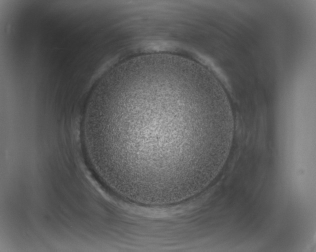 X0000083050010200702091450