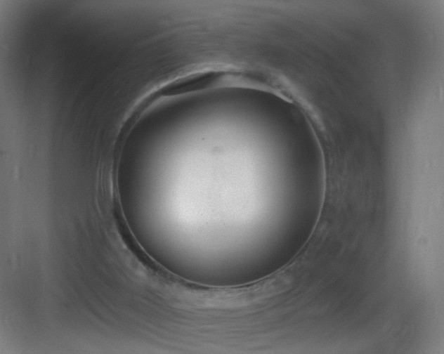 X0000083050011200702091450