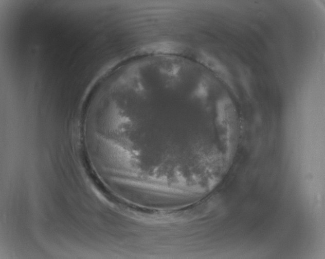 X0000083050012200702091450