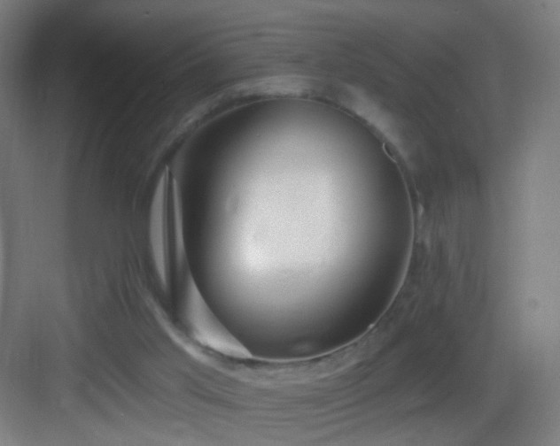 X0000083050013200702091450