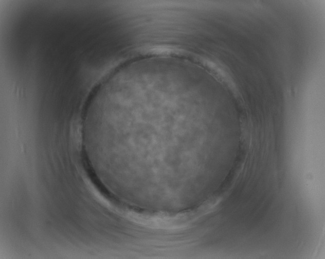 X0000083050016200702091450