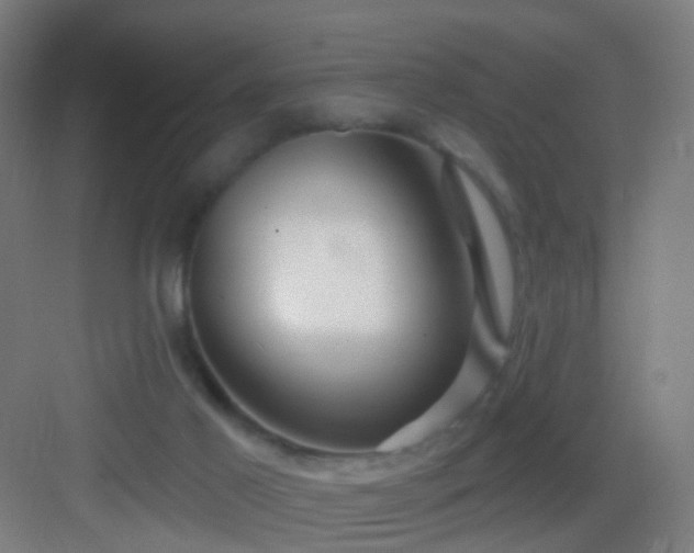 X0000083050021200702091450
