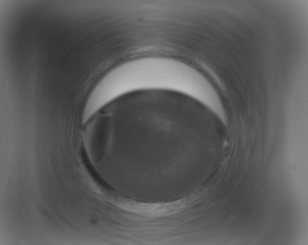 X0000083050023200702091450