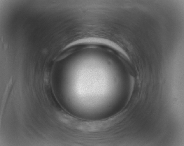 X0000083050033200702091449