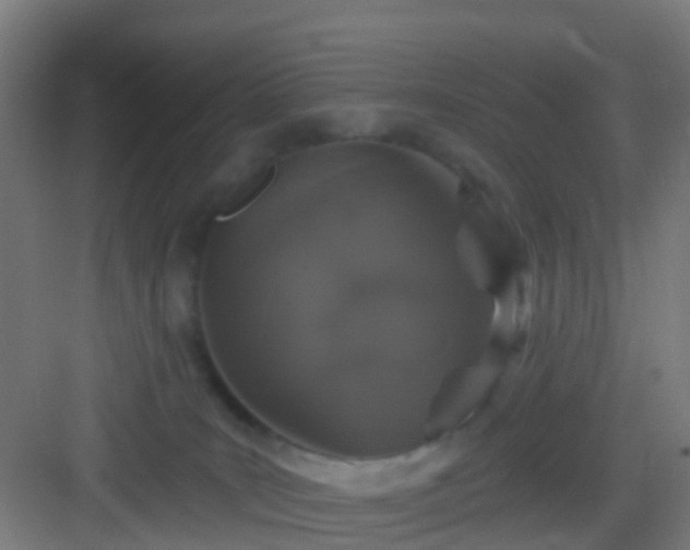 X0000083050035200702091449