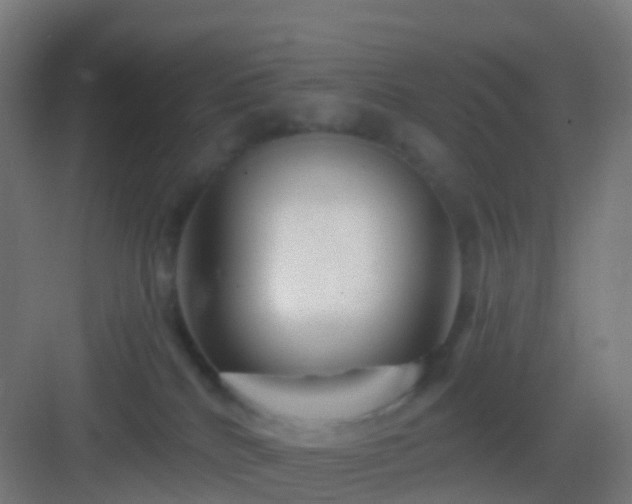 X0000083050040200702091449