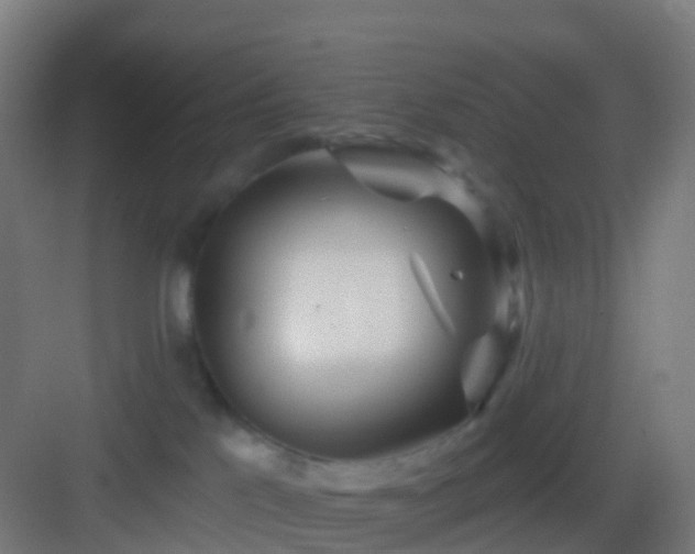 X0000083050041200702091449