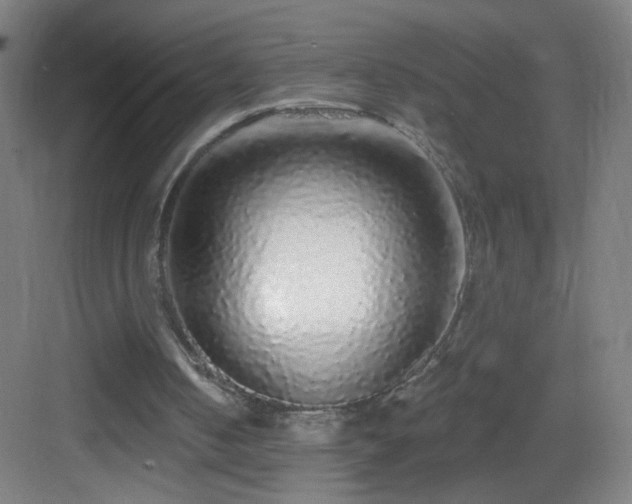 X0000083050050200702091448