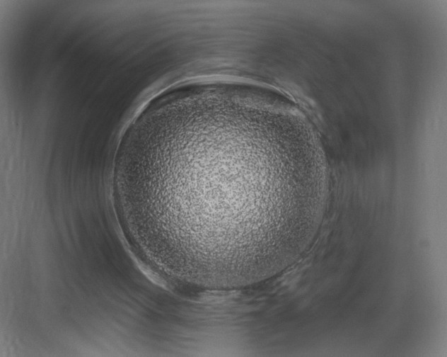 X0000083050051200702091448
