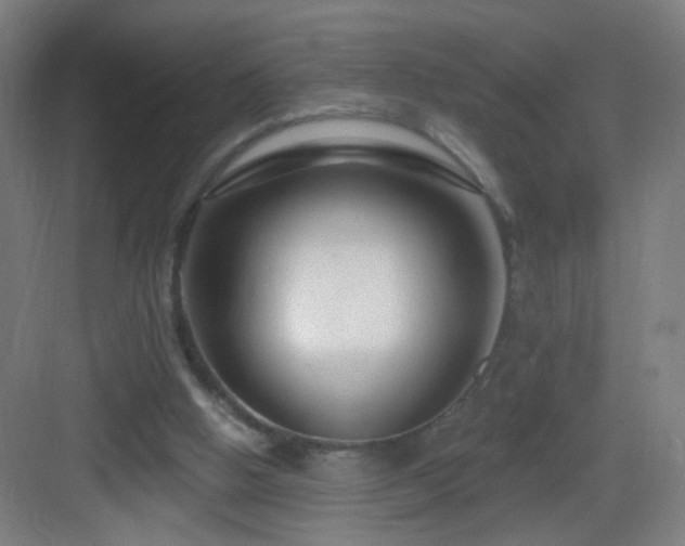 X0000083050058200702091449