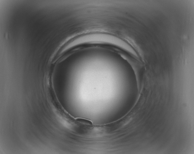 X0000083050060200702091449
