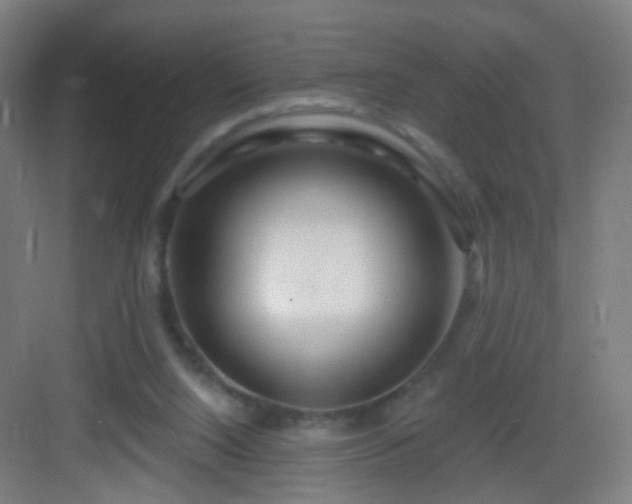 X0000083050064200702091449