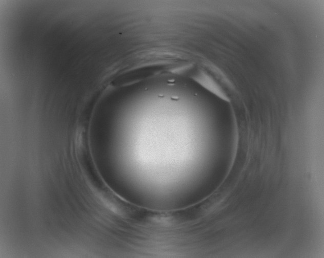 X0000083050071200702091449