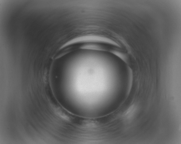 X0000083050073200702091449