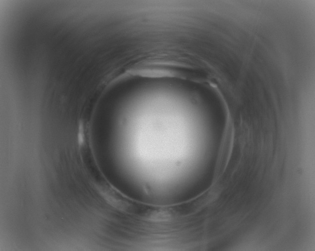 X0000083050075200702091449