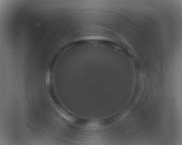 X0000083050076200702091449