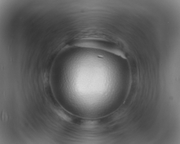 X0000083050081200702091449