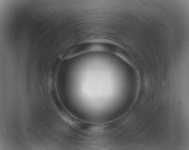 X0000083050084200702091449