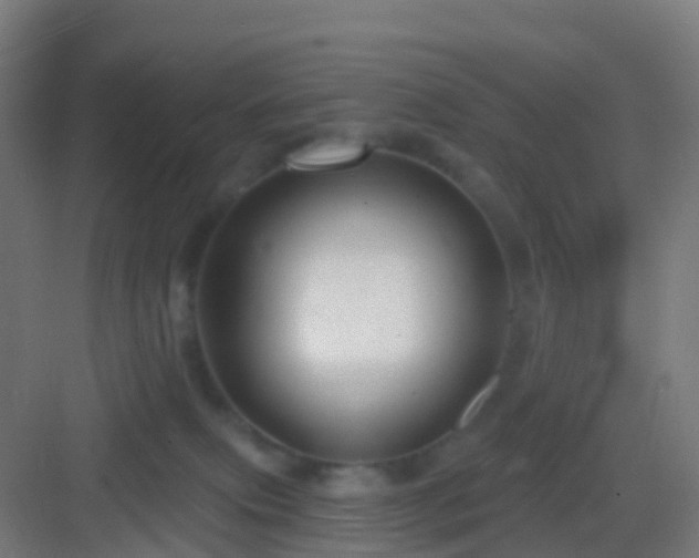 X0000083050087200702091449