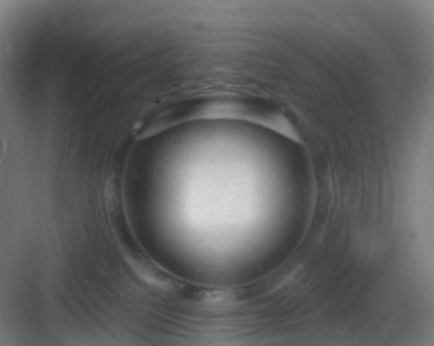 X0000083050088200702091449