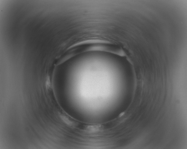 X0000083050089200702091449