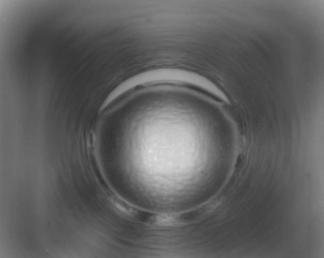 X0000083050093200702091449