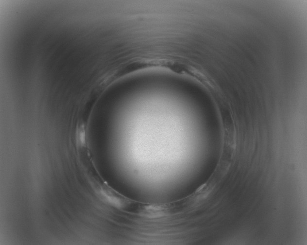 X0000083050095200702091449