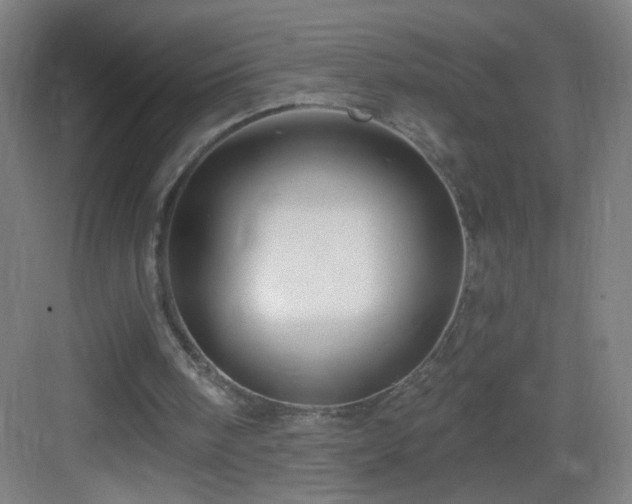 X0000083050098200702091448