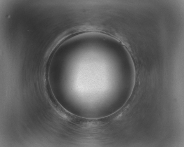 X0000083050103200702091448