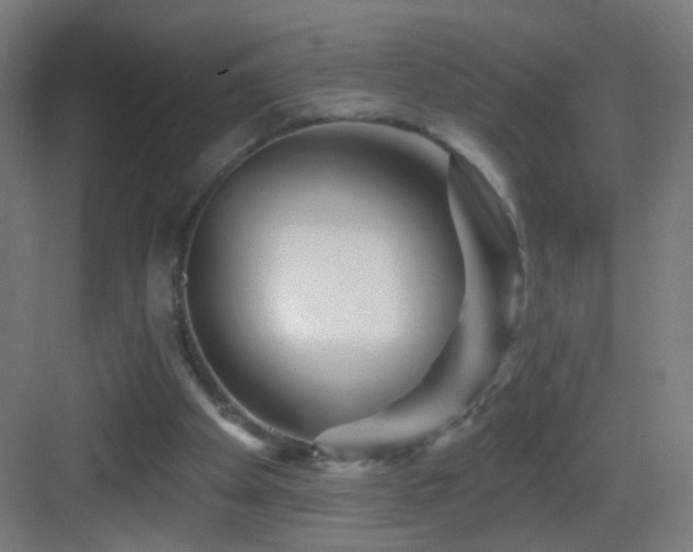 X0000083050105200702091448