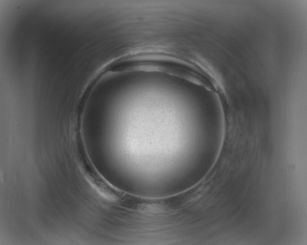 X0000083050107200702091448