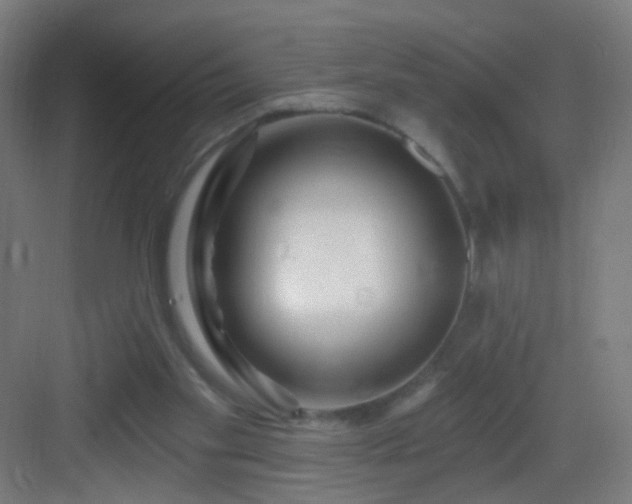 X0000083050109200702091448