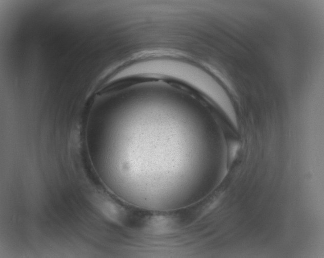 X0000083050111200702091448