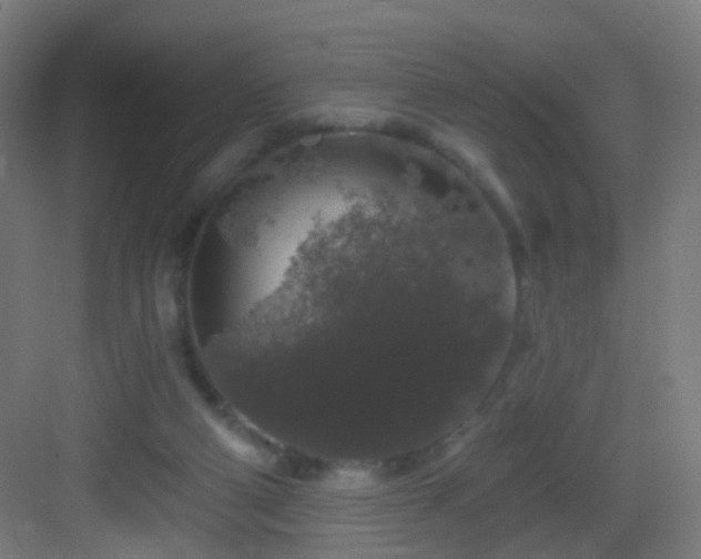 X0000083050114200702091448