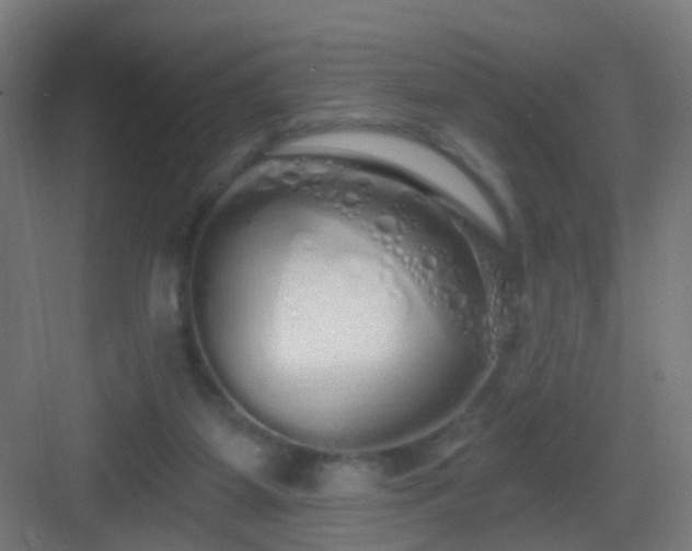 X0000083050115200702091448