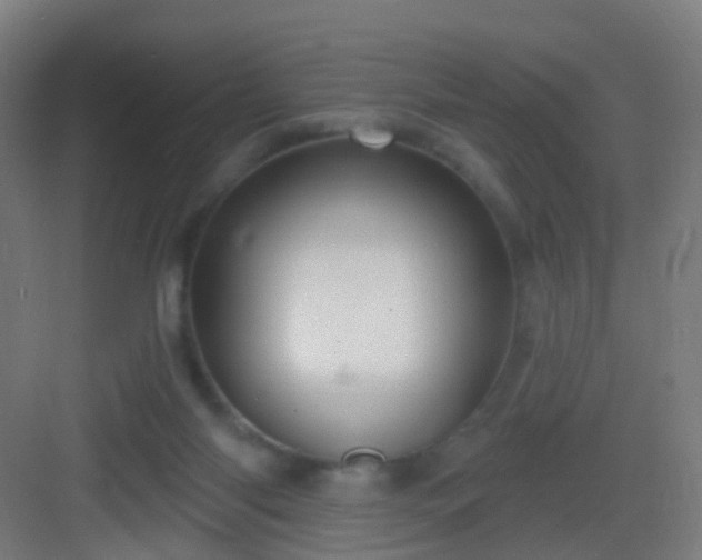 X0000083050118200702091448