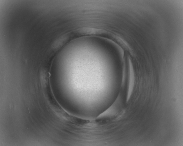 X0000083050119200702091448
