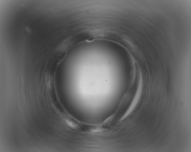 X0000083050125200702091448