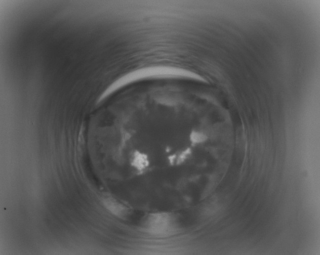 X0000083050127200702091448