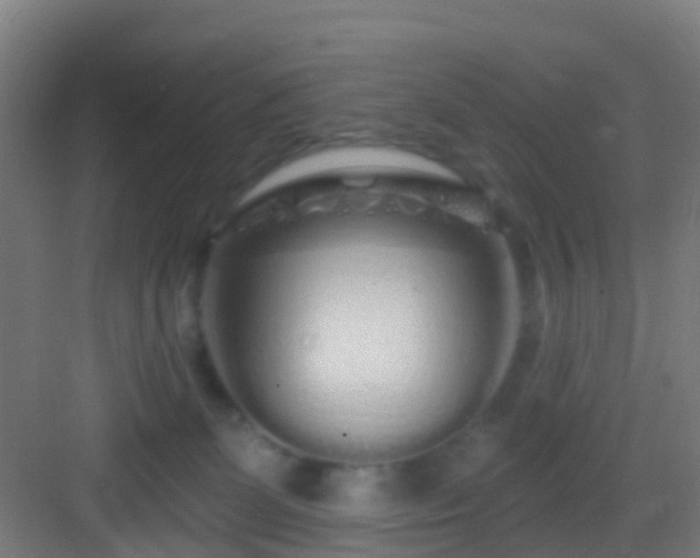 X0000083050131200702091448