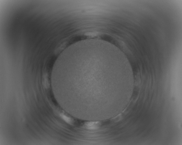 X0000083050136200702091448