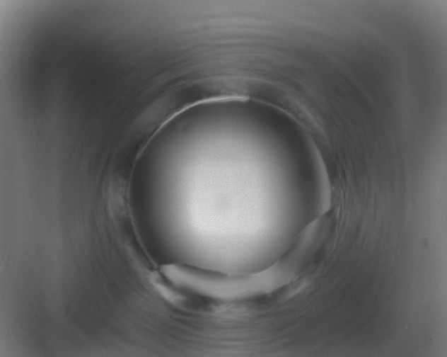 X0000083050141200702091448