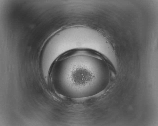 X0000083050146200702091447