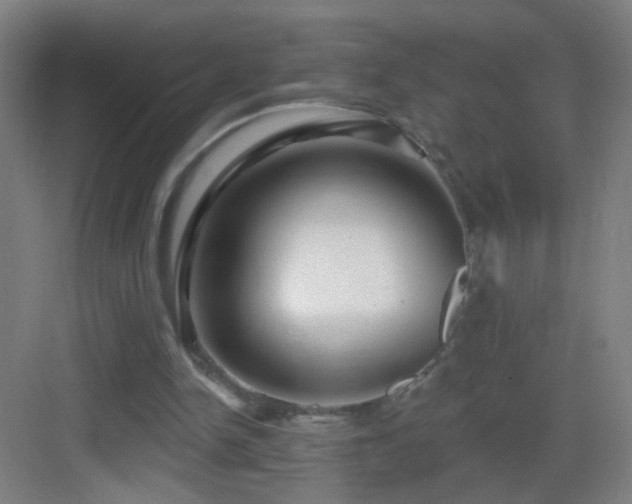X0000083050150200702091447