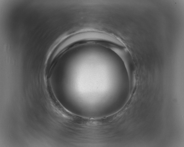 X0000083050152200702091447