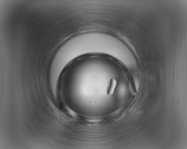 X0000083050154200702091447