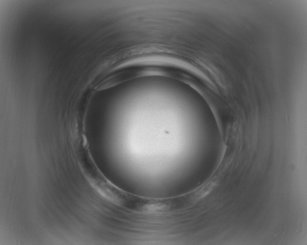X0000083050158200702091447