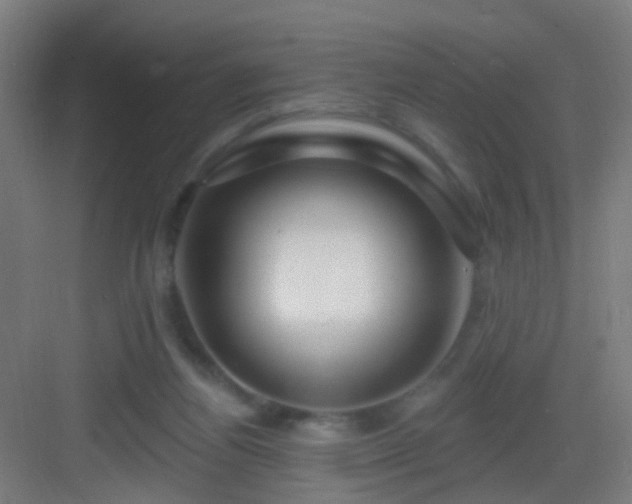 X0000083050164200702091447