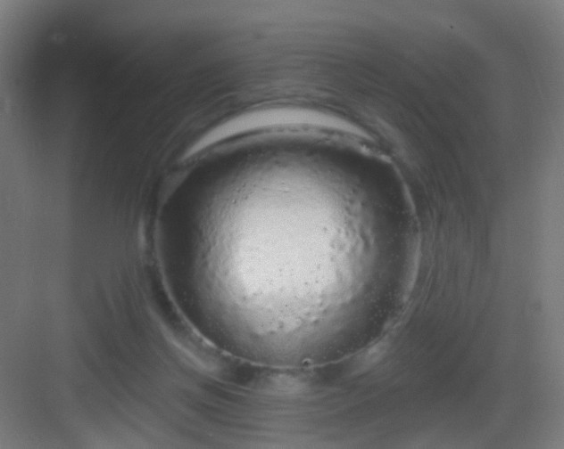 X0000083050166200702091447